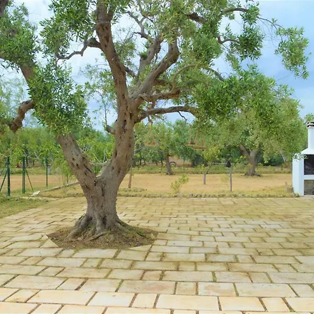 Casa La Tuppina Holiday home *
