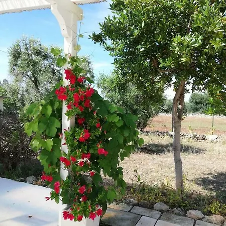 Casa La Tuppina * Torre Canne